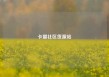 卡盟社区货源站