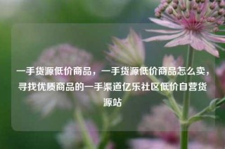 一手货源低价商品，一手货源低价商品怎么卖，寻找优质商品的一手渠道亿乐社区低价自营货源站