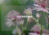 小红书转发兼职
