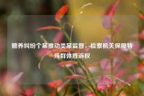 赡养纠纷个案推动类案监督，检察机关保障特殊群体胜诉权