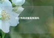 小红书阅读量高有用吗