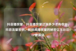 抖音播放量，抖音播放量达到多少才有收益，抖音流量密码，解锁高播放量的秘密亿乐社区SUP货源站