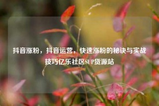抖音涨粉，抖音运营，快速涨粉的秘诀与实战技巧亿乐社区SUP货源站