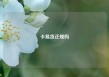 卡易贷正规吗