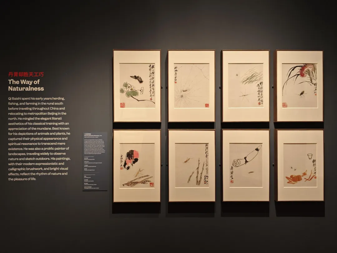 齐白石精品在波士顿展出,“白石画屋”呈现水墨挥洒 第9张 齐白石精品在波士顿展出,“白石画屋”呈现水墨挥洒 第9张