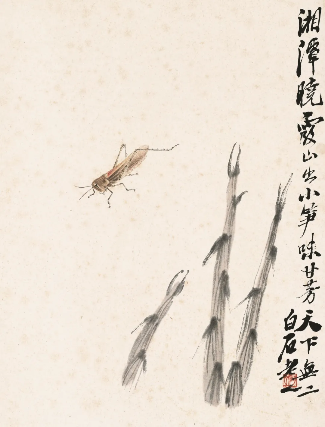 齐白石精品在波士顿展出,“白石画屋”呈现水墨挥洒 第21张 齐白石精品在波士顿展出,“白石画屋”呈现水墨挥洒 第21张