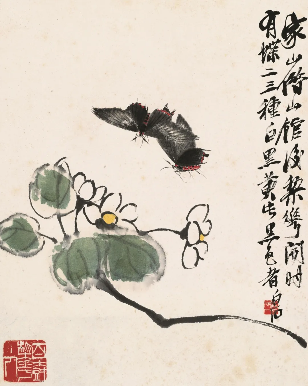 齐白石精品在波士顿展出,“白石画屋”呈现水墨挥洒 第19张 齐白石精品在波士顿展出,“白石画屋”呈现水墨挥洒 第19张
