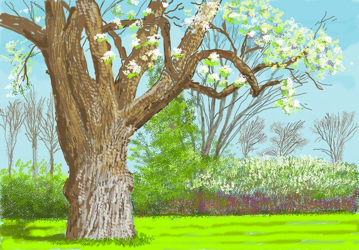 打破陈规,推翻“观看”:大卫·霍克尼首个数字艺术展登陆上海 第5张 打破陈规,推翻“观看”:大卫·霍克尼首个数字艺术展登陆上海 第5张