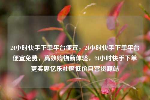 24小时快手下单平台便宜，24小时快手下单平台便宜免费，高效购物新体验	，24小时快手下单更实惠亿乐社区低价自营货源站  第1张