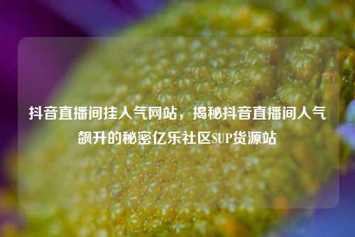 抖音直播间挂人气网站	，揭秘抖音直播间人气飙升的秘密亿乐社区SUP货源站  第1张