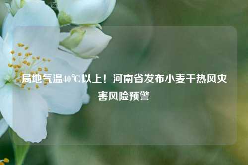 局地气温40℃以上！河南省发布小麦干热风灾害风险预警  第1张