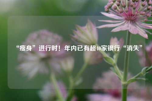 “瘦身	”进行时！年内已有超40家银行“消失”  第1张