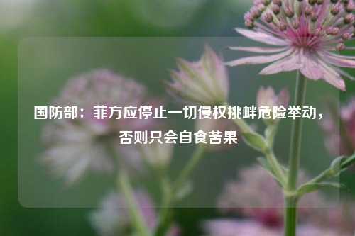 国防部：菲方应停止一切侵权挑衅危险举动，否则只会自食苦果  第1张