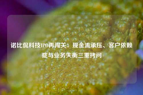诺比侃科技IPO再闯关：现金流承压、客户依赖症与业务失衡三重拷问  第1张
