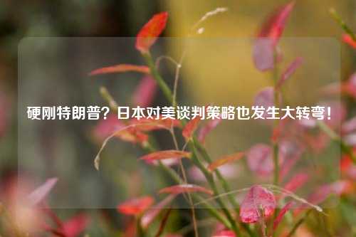 硬刚特朗普？日本对美谈判策略也发生大转弯！  第1张