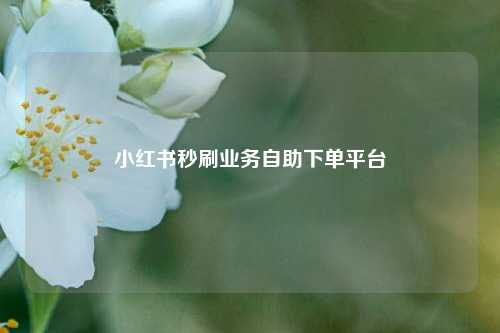 小红书秒刷业务自助下单平台  第1张