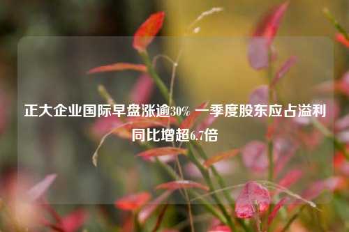 正大企业国际早盘涨逾30% 一季度股东应占溢利同比增超6.7倍  第1张