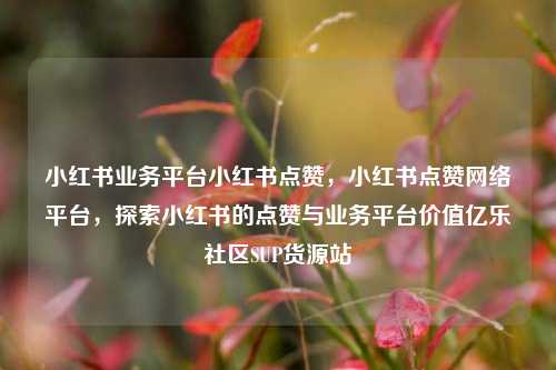 小红书业务平台小红书点赞，小红书点赞网络平台	，探索小红书的点赞与业务平台价值亿乐社区SUP货源站  第1张