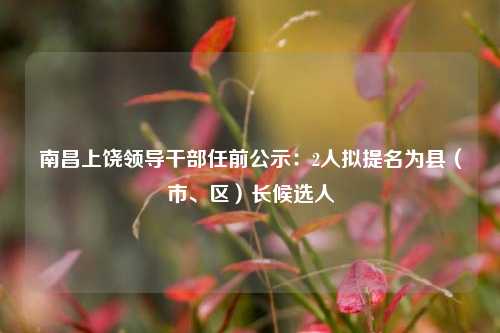 南昌上饶领导干部任前公示：2人拟提名为县（市、区）长候选人  第1张