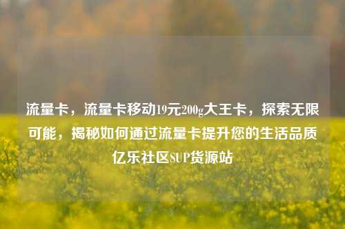 流量卡，流量卡移动19元200g大王卡，探索无限可能	，揭秘如何通过流量卡提升您的生活品质亿乐社区SUP货源站  第1张