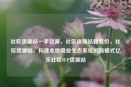 社区货源站一手货源	，社区货源站超低价，社区货源站，构建本地商业生态系统的新模式亿乐社区SUP货源站  第1张