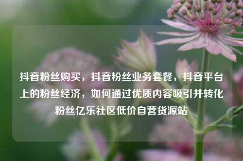 抖音粉丝购买，抖音粉丝业务套餐，抖音平台上的粉丝经济	，如何通过优质内容吸引并转化粉丝亿乐社区低价自营货源站  第1张