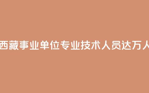 西藏事业单位专业技术人员达11.6万人  第1张