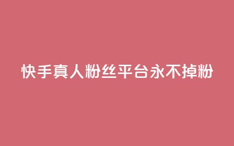 快手真人粉丝平台 永不掉粉 - 快手粉丝平台，绝对稳定永不流失！  第1张
