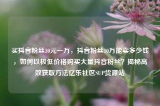 买抖音粉丝10元一万，抖音粉丝10万能卖多少钱，如何以极低价格购买大量抖音粉丝？揭秘高效获取方法亿乐社区SUP货源站
