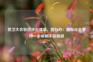 世卫大会驳回涉台提案，国台办：国际社会坚持一中原则不容挑战