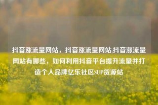 抖音涨流量网站，抖音涨流量网站,抖音涨流量网站有哪些，如何利用抖音平台提升流量并打造个人品牌亿乐社区SUP货源站