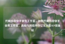 代刷抖音快手业务工作室，剖析代刷抖音快手业务工作室，真相与风险并存亿乐社区SUP货源站