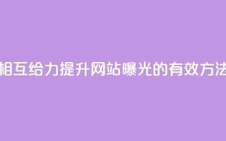 相互给力：提升网站曝光的有效方法