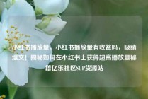 小红书播放量，小红书播放量有收益吗，吸睛爆文！揭秘如何在小红书上获得超高播放量秘籍亿乐社区SUP货源站