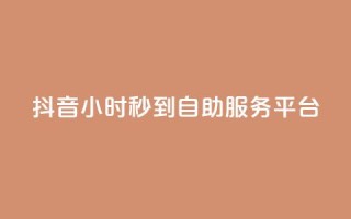 抖音24小时秒到自助服务平台,ks便宜的下单平台 - 抖音评论挣钱是什么套路 - Dy号商购买