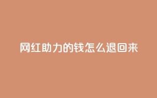 网红助力的钱怎么退回来,qq空间说说赞自助下单 - 拼多多0.01积分后面是什么 - 拼多多700现金步骤