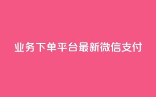 KS业务下单平台最新微信支付,qq空间点赞怎么变多软件 - 抖音卖粉丝 - dy代网站业务网站