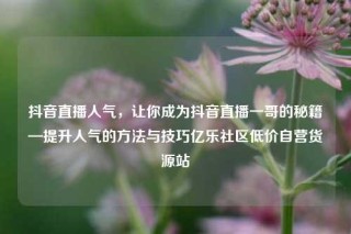 抖音直播人气，让你成为抖音直播一哥的秘籍—提升人气的方法与技巧亿乐社区低价自营货源站