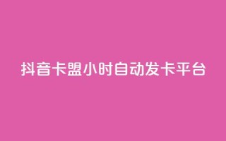 抖音卡盟24小时自动发卡平台,颜夕卡盟 - 全网辅助货源站 - 快手点赞评论软件微信支付