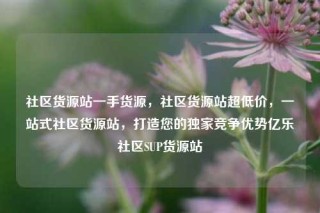 社区货源站一手货源，社区货源站超低价，一站式社区货源站，打造您的独家竞争优势亿乐社区SUP货源站