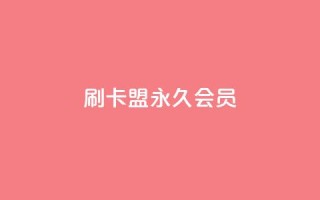 刷卡盟qq永久会员 - qq24小时自助下单全网最低价