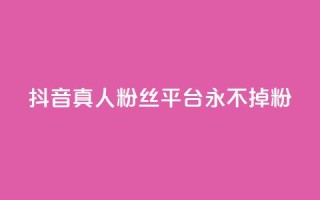 抖音真人粉丝平台 永不掉粉,抖音赞平台全网最便宜 - 拼多多助力网站在线刷便宜 - 拼多多蓝天助手
