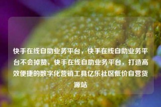 快手在线自助业务平台，快手在线自助业务平台不会掉赞，快手在线自助业务平台，打造高效便捷的数字化营销工具亿乐社区低价自营货源站