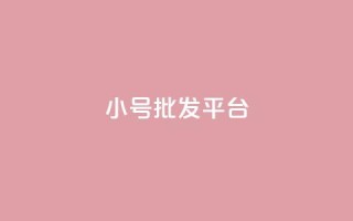 dy小号批发平台,抖音怎么样才有粉丝增加 - 卡盟刷qq空间访客 - 彩虹代刷社区一手货源