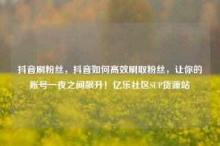 抖音刷粉丝，抖音如何高效刷取粉丝，让你的账号一夜之间飙升！亿乐社区SUP货源站