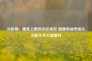 分析师：债务上限协议达成后 国债收益率或从当前水平大幅攀升