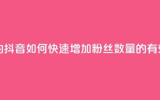 抖音粉丝怎么加上的 - 抖音如何快速增加粉丝数量的有效策略与技巧！
