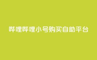 哔哩哔哩小号购买自助平台 - B站小号购买平台  自助服务一键购买!