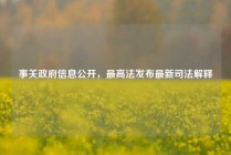 事关政府信息公开，最高法发布最新司法解释