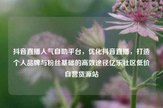 抖音直播人气自助平台，优化抖音直播，打造个人品牌与粉丝基础的高效途径亿乐社区低价自营货源站